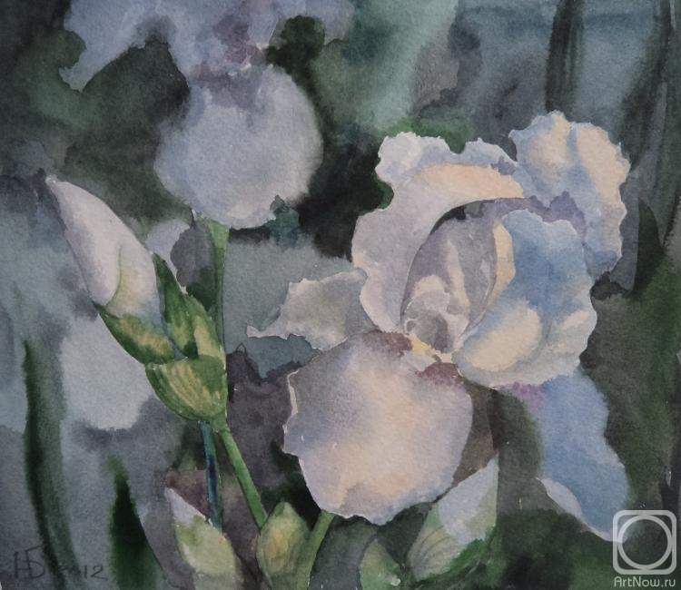 Samodurova Natalia. Untitled