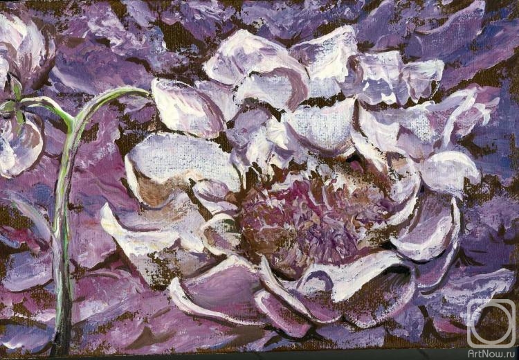 ������� ������ �� ������. ��������� ����. �������������� ������