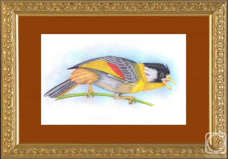 �������. ���������� ��������. ���� ������