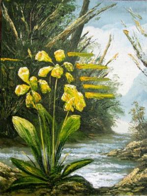 ��������� ���� ������������. ����� � ����