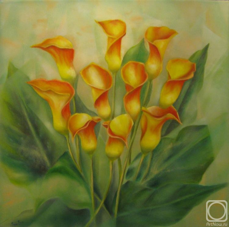 ������� ������ �� ������. ����� ������. ������� ��� ��������