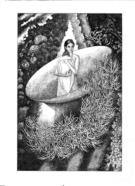 �������. �������� �����. �����������