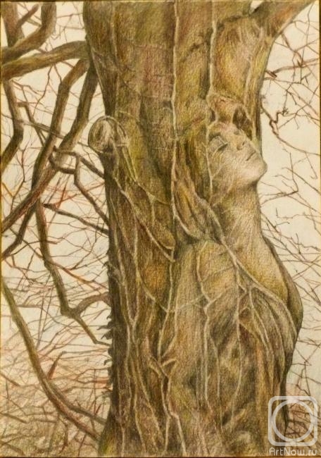 Morosova Natalia. Tree
