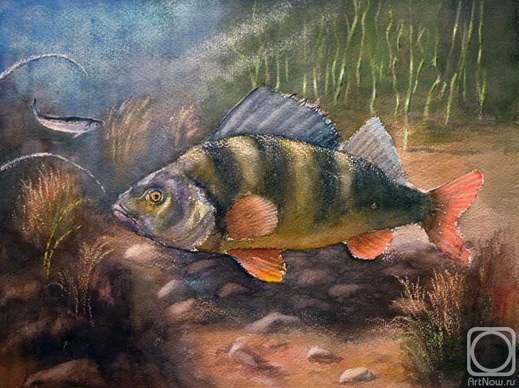 �������. ������ ����. ������� ��� ��������