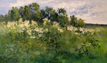 Meadowsweet blooms. Serebrennikova Larisa