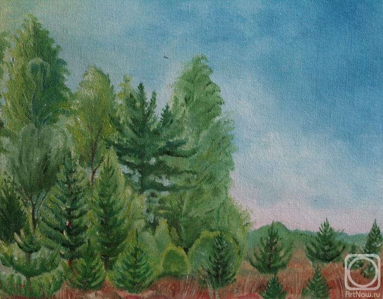 ������� ������ �� ������. ������ ������. �������� ���