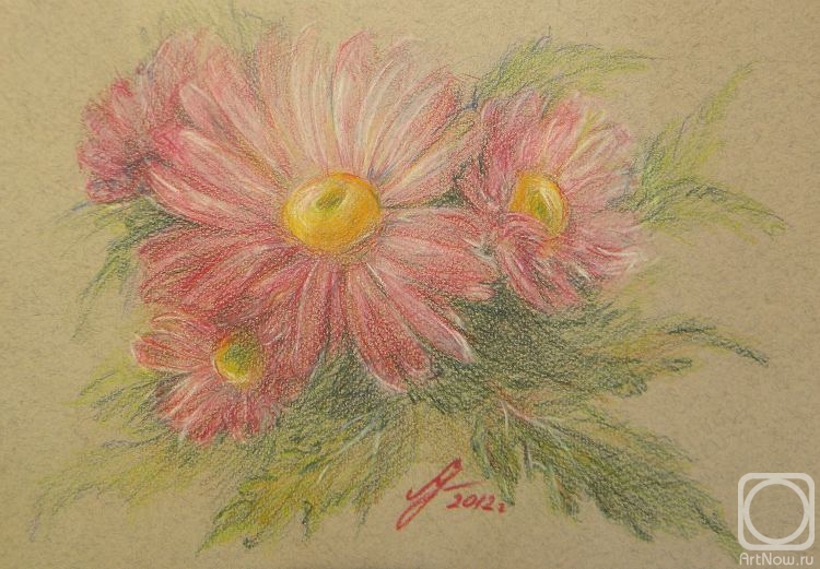 Ushakova Maria. Chrysanthemum