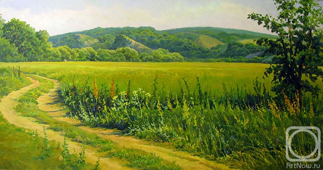 Dobrodeev Vadim. The road to the spring