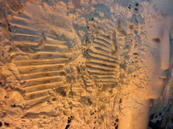 CASTA DIVA. ��������