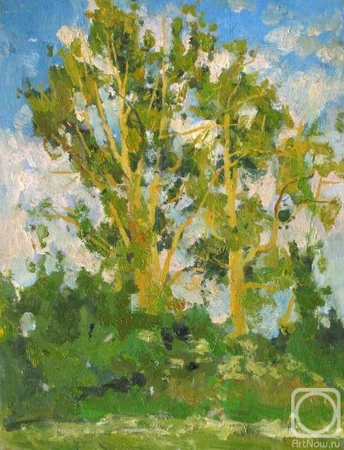 Kharchenko Victoria. Golden poplars