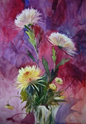 Asters