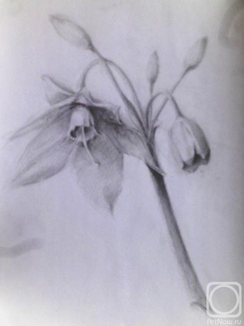 �������. ���������� �����. ���������