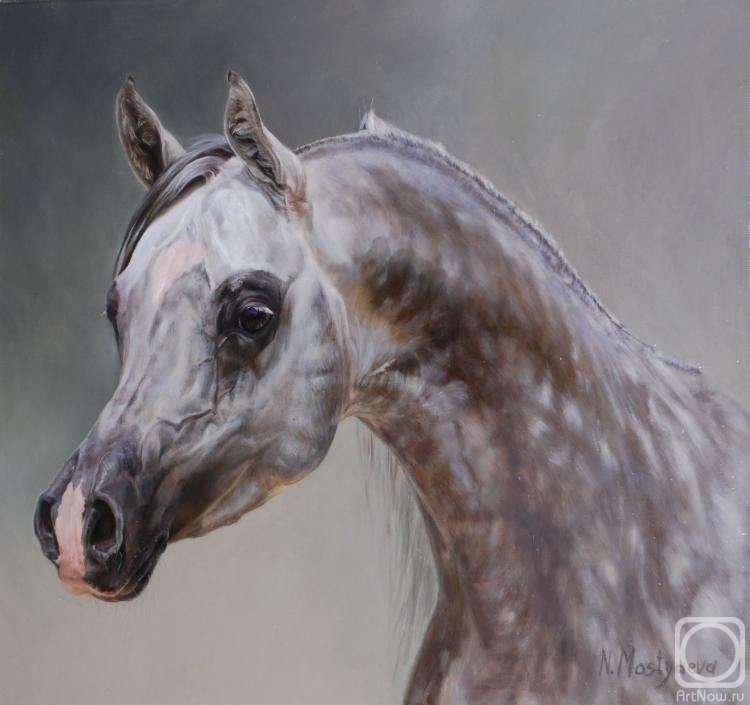 ������� ������ �� ������. �������� �������. Amir Ashiraf