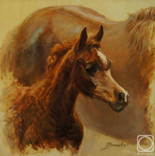 ������� ������ �� ������. �������� �������. �������