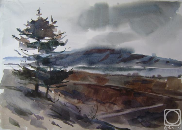 Ivanova Olesya. To the rain