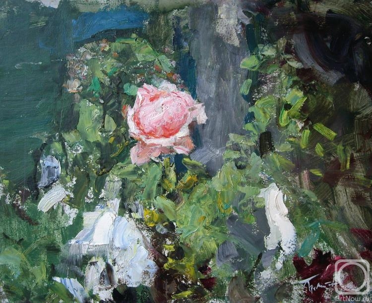 �������. ���������� ��������. ������ ����