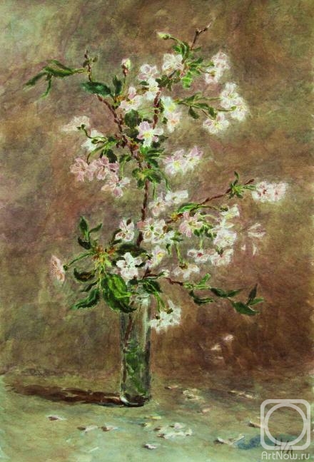 Lomanova Irina. Cherry blossoms