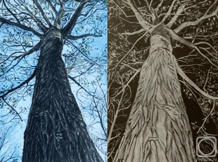 �������. ������ ������. ����� ������