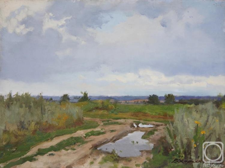 Kharchenko Victoria. Rainy summer