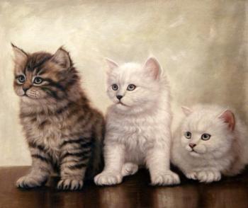 Cats. Smorodinov Ruslan
