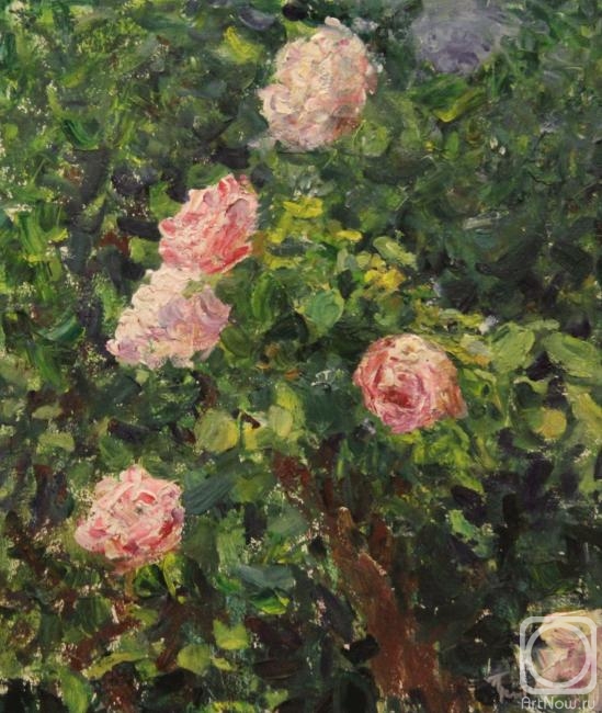 Gremitskikh Vladimir. Pink roses