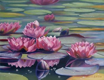 Water lilies. Kreneva Ekaterina