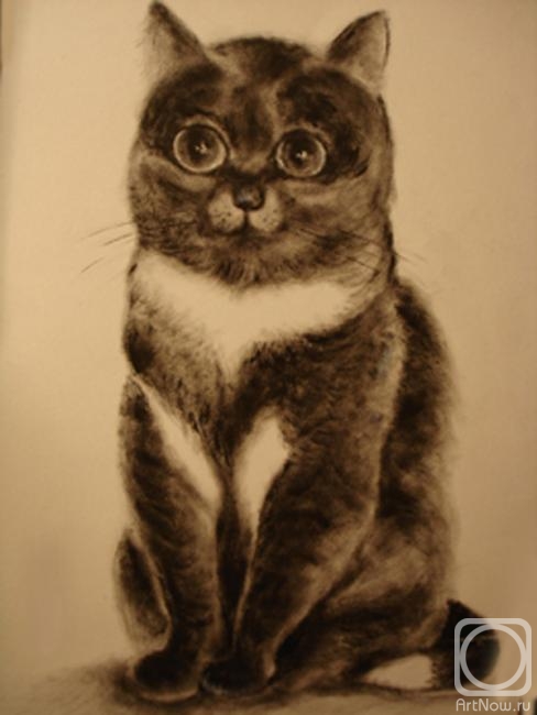 �������. ������� �����. ���