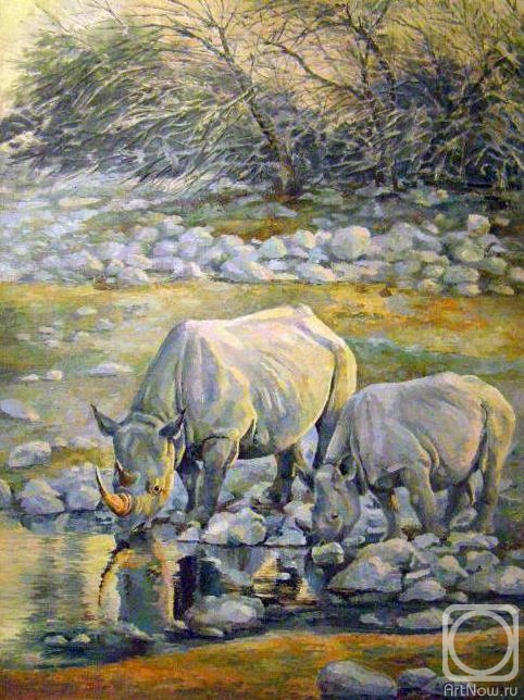 Berezina Elena. Rhinoceroses on a watering place