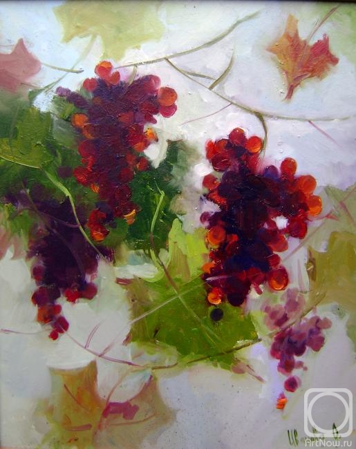 �������. ������� �����. ��������� ����������