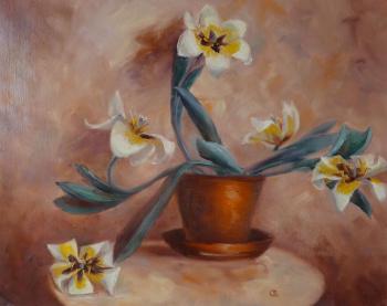 ������� ��������� � ��������