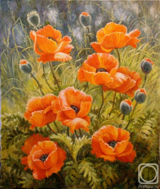 Shumakova Elena. Poppies
