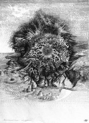 Biological object. Shanin Vladimir