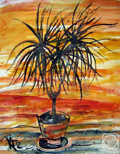 Karaceva Galina. Dracaena, it seems