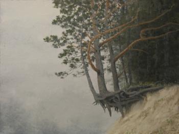 Forest on the Edge. Petuhov Dmitriy