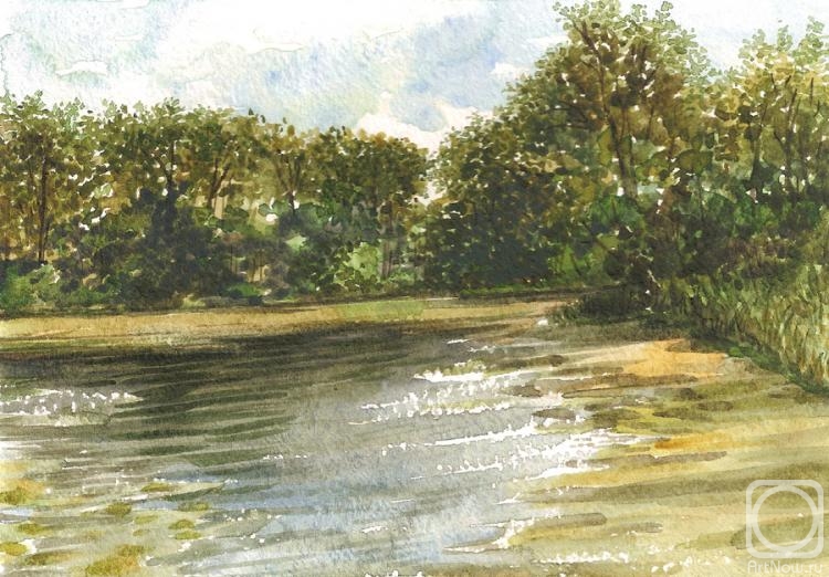 Tarnovsky Dmitriy. Pond near Radomli (option 1)