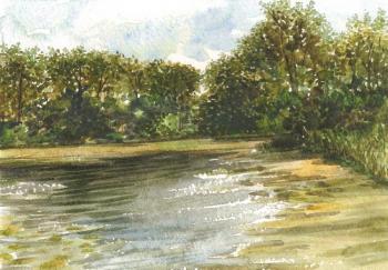 Pond near Radomli (option 1). Tarnovsky Dmitriy