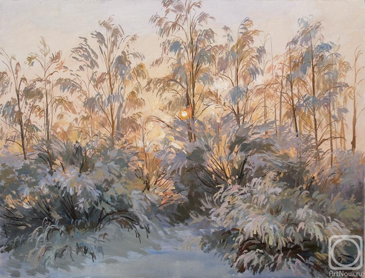 ������� ������ �� ������. ���������� �����. ������ ������