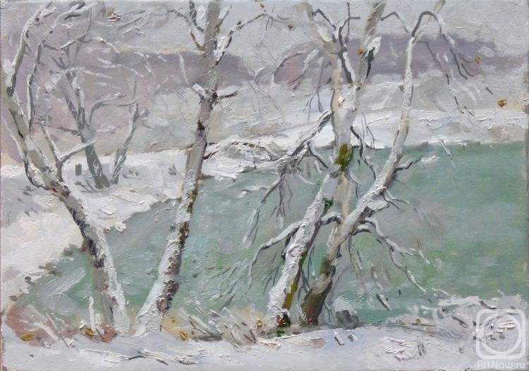 Arepyev Vladimir. Birch trees on the shore of a frozen pond