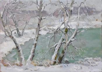 Birch trees on the shore of a frozen pond. Arepyev Vladimir