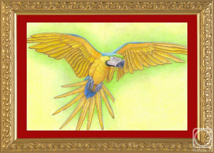 �������. ���������� ��������. ������� ��� ��������