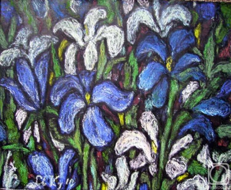 �������. ������� ���������. �����