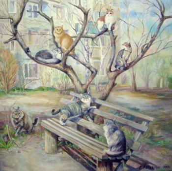 Spring. The cats flying come!. Berezina Elena