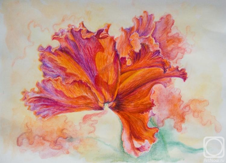 �������. �������� ����. ��������