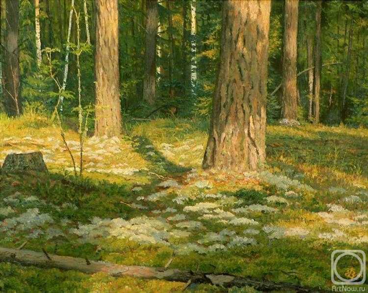 �������. �������� ������. � ����