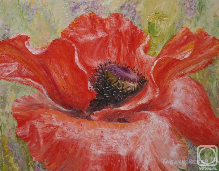 �������. ���������-������������ ������. ���� ���