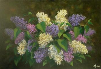 Bouquet of lilacs. Kosterin Sergey