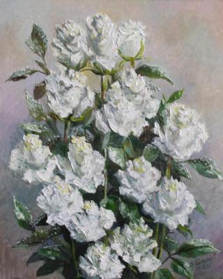 Dew on white roses. Konturiev Vaycheslav