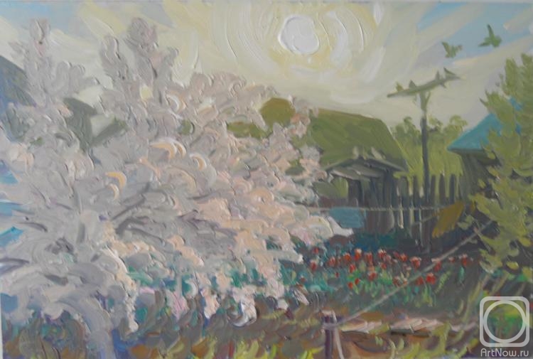 �������. �������� ���������. ���. ���