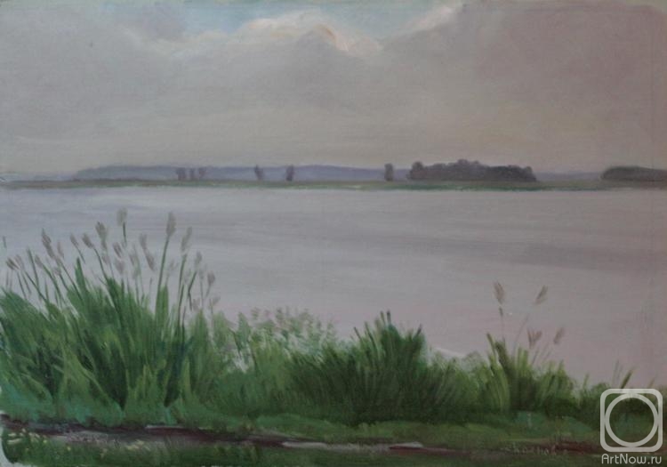 Klenov Valeriy. Lake in Zaozerie village(Rostov region)