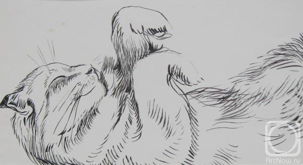 �������. ������� ������. ���������